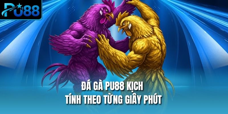 Đá gà PU88 kịch tính theo từng giây phút