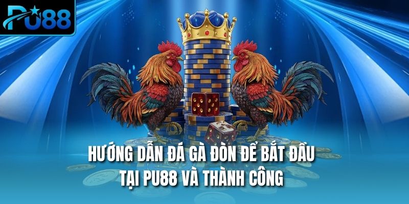Hướng Dẫn Đá Gà Đòn Để bắt đầu Tại PU88 Và Thành Công
